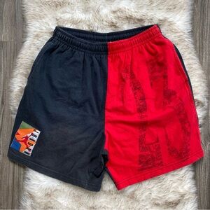 Rare Vintage Nike Air Jordan Hare Colorblock shorts